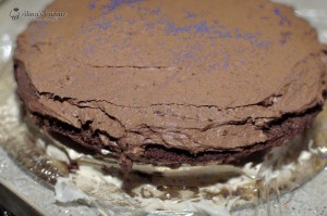 tort cu crema de ciocolata 017
