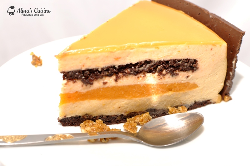 tort mousse caise si mousse caramel 104